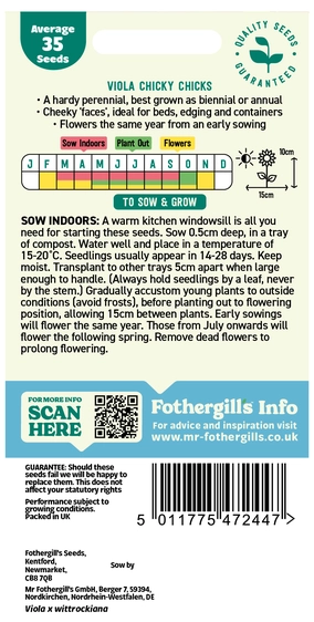 Viola Chicky Chicks - image 2