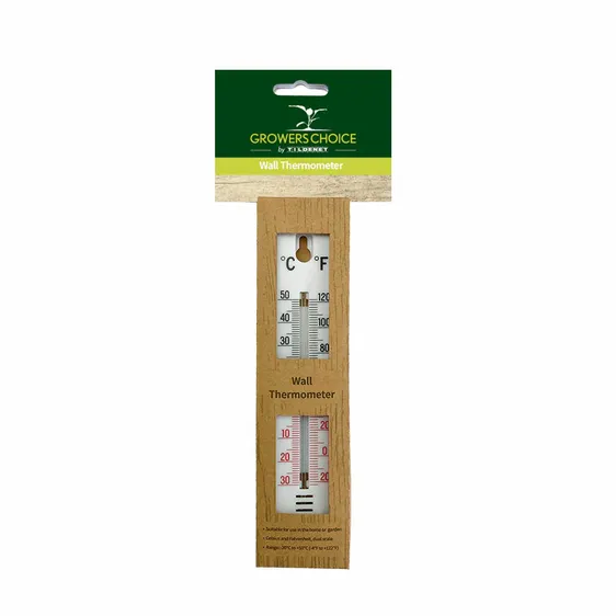 Wall Thermometer - image 1