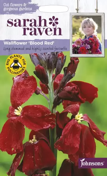 Wallflower Blood Red - image 1