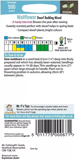Wallflower Dwarf Bedding Mixed - image 2