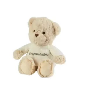 Warmies Sentiments Bear - Congratulations - image 1