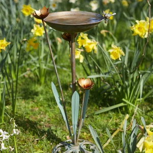 Tom Chambers Waterlily Bird Bath