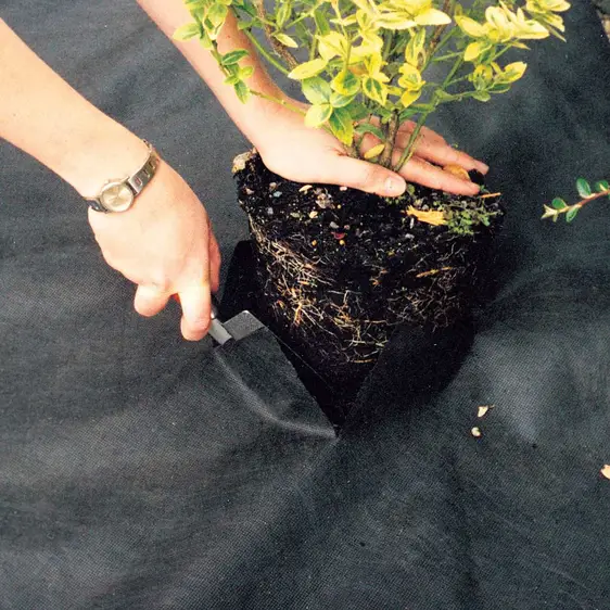 Weedban Landscaping Fabric