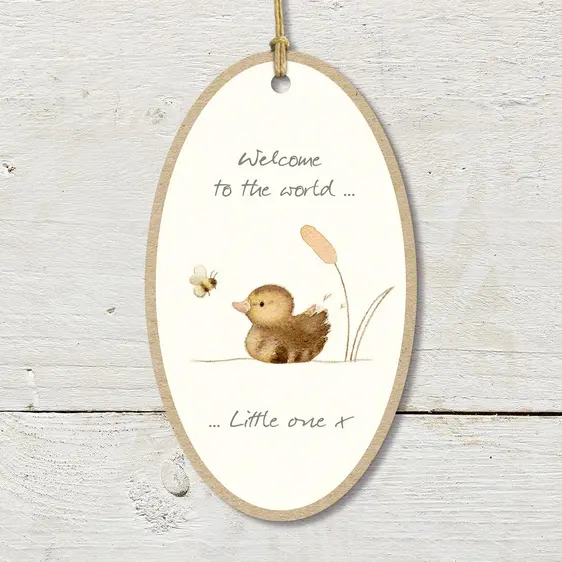 Welcome To The World Keepsake Plaque