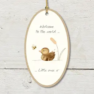 Welcome To The World Keepsake Plaque