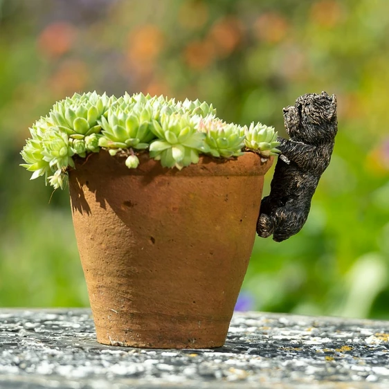 West Highland Terrier Pot Buddy - image 1