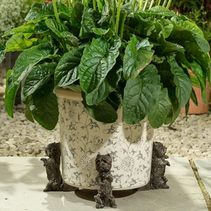 Westie Pot Feet - image 1