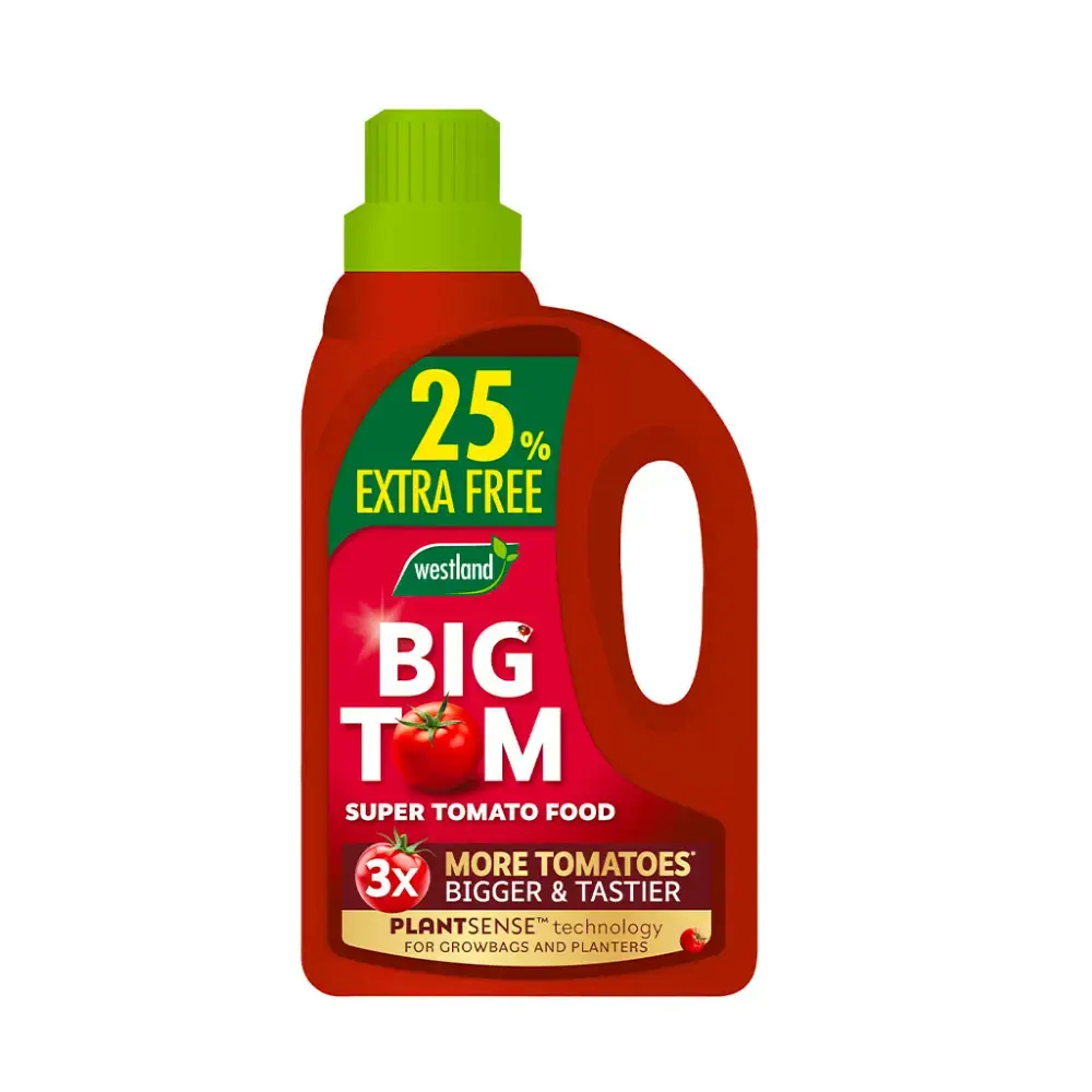 Westland Big Tom Tomato Food 1L + 25 Free Cowell's Garden Centre