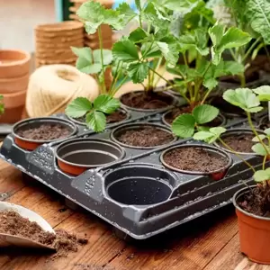 Gro-Sure Growing Tray & 18 Round Pots - image 1