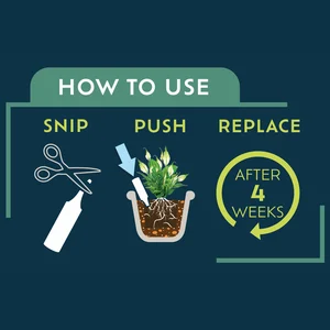 Westland Houseplant Droplet Feeder - Single - image 2