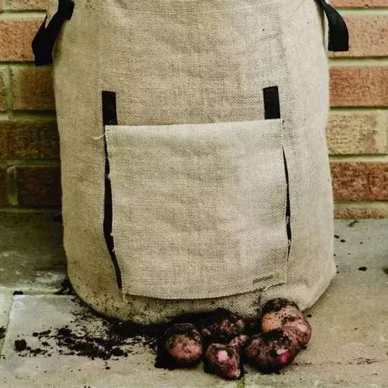 Jute Potato Planter Bag - image 1