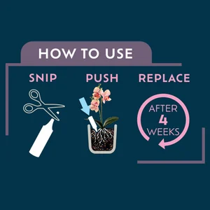 Westland Orchid Droplet Feeder - Single - image 2