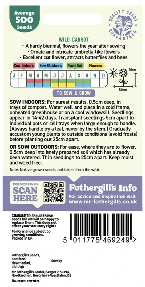 Wild Carrot - image 2