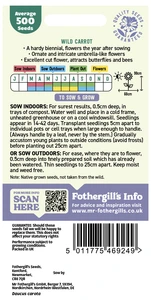 Wild Carrot - image 2