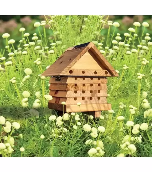 Wildlife World Solitary Bee Hive