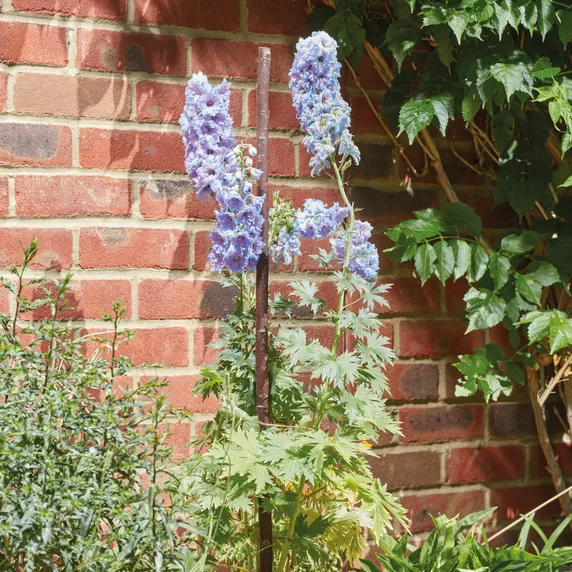 Willow Grow Stakes - 120cm - image 1