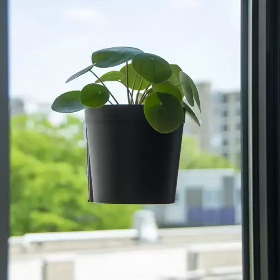 Window Flower Pot - Black (L) - image 4