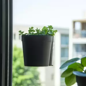 Window Flower Pot - Black (S)