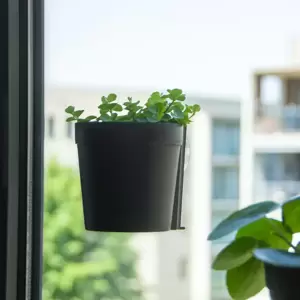 Window Flower Pot - Black (S) - image 1