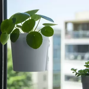 Window Flower Pot - White (L) - image 4