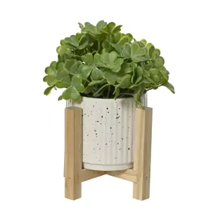 Wooden Framed Potted Artificial Plant 