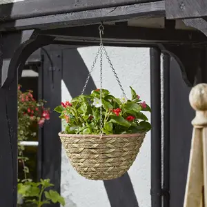 Woodland Hanging Basket 35cm