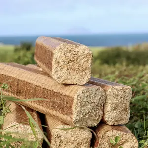 Woodlets Wood Briquettes - image 2