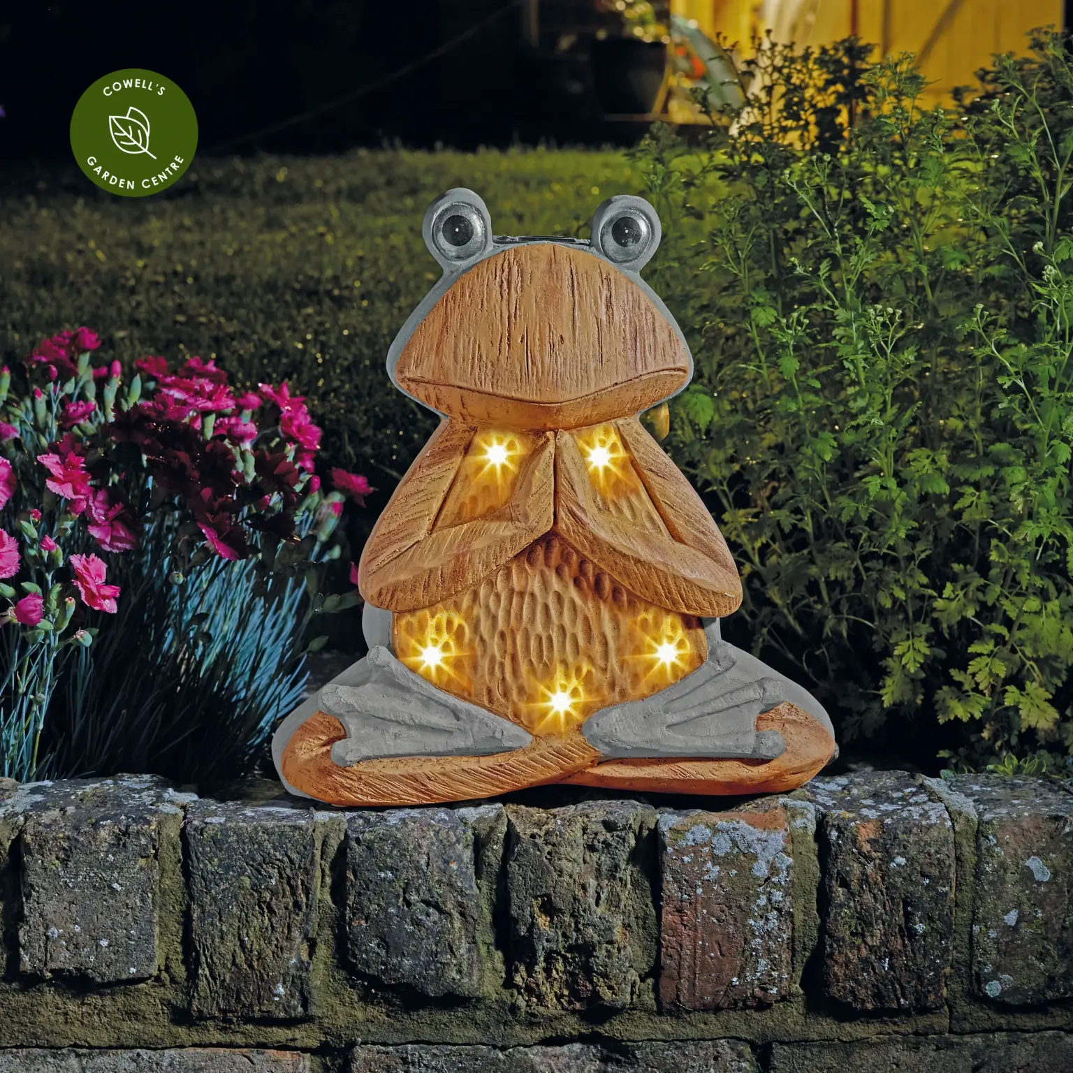 Woodstone InLit Frog Light Cowell s Garden Centre Woolsington