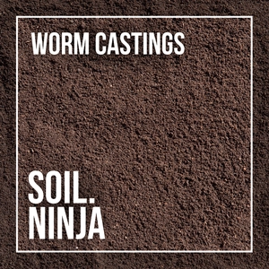 Worm Castings 2.5L - image 2