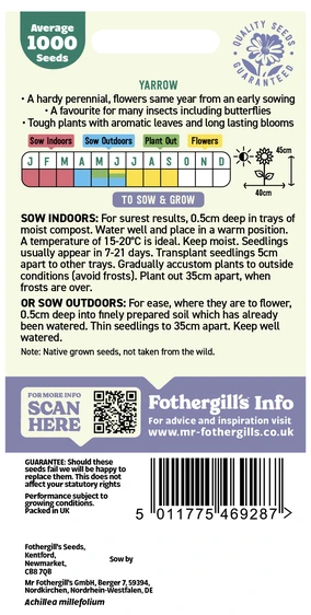 Yarrow Seeds - image 2