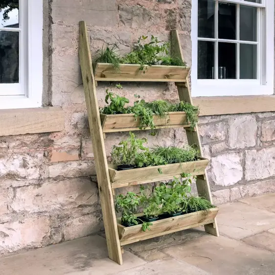 Zest Ladder Planter