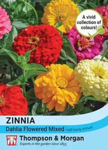 Zinnia Dahlia Flowered Mixed - image 1
