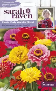 Zinnia Early Wonder Mix - image 1