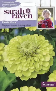 Zinnia Envy - image 1