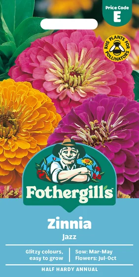 Zinnia Jazz - image 1