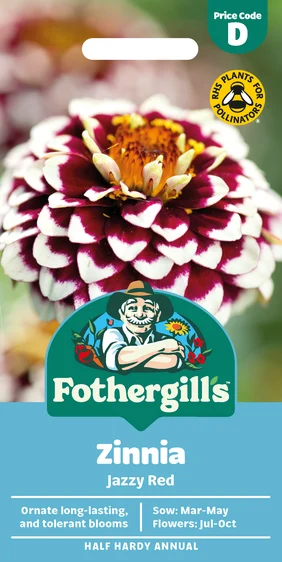 Zinnia Jazzy Red - image 1
