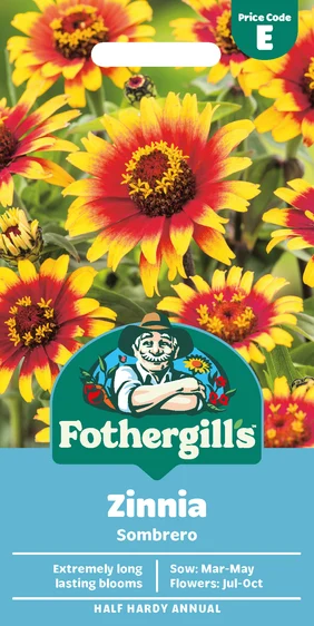 Zinnia Sombrero - image 1