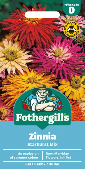 Zinnia Starburst Mixed - image 1