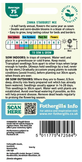 Zinnia Starburst Mixed - image 2