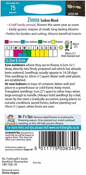 Zinnia Sunbow Mixed - image 2