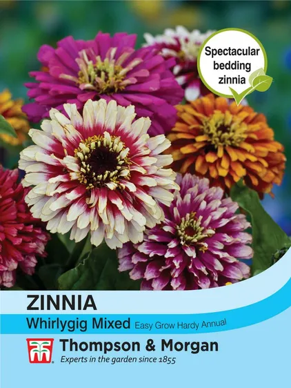 Zinnia Whirlygig Mixed - image 1